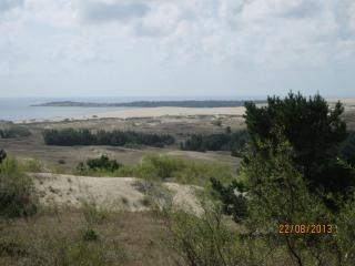 IMG_5551.JPG