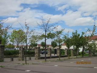 IMG_3387.JPG
