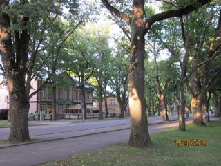 IMG_4868.JPG