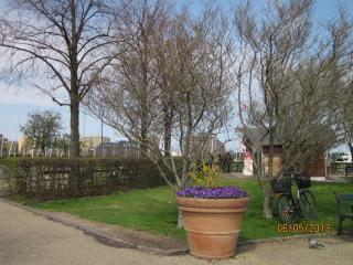IMG_2824.JPG