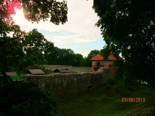 IMG_59651.jpg