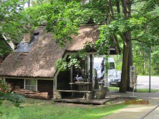 IMG_5597.JPG