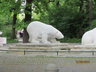 IMG_0432.JPG