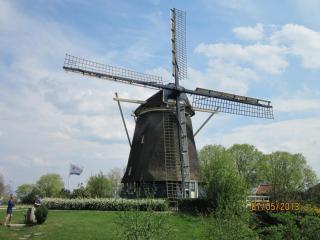 IMG_2923.JPG