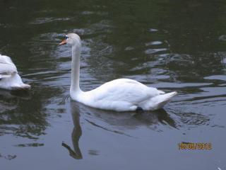 IMG_0281.JPG