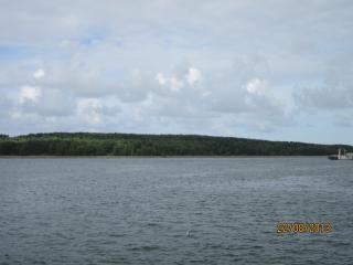 IMG_5536.JPG