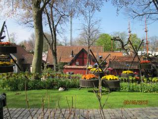 IMG_2625.JPG