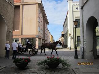 IMG_5486.JPG