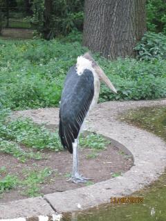 IMG_0434.JPG