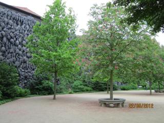 IMG_1414.JPG