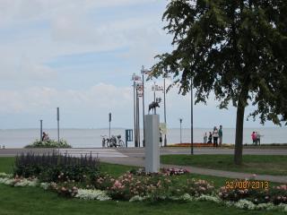 IMG_5687.JPG