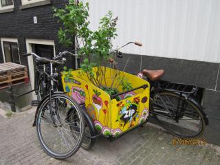IMG_2992.JPG