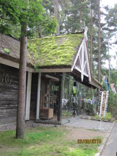IMG_5585.JPG