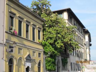 IMG_1139.JPG