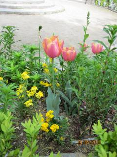 IMG_3344.JPG