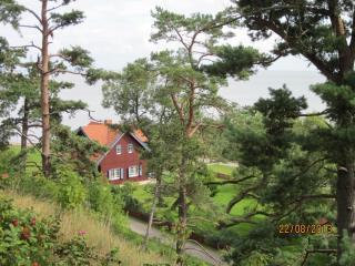 IMG_5614.JPG