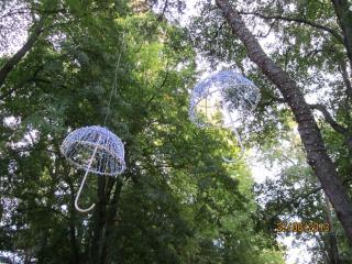IMG_5740.JPG