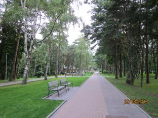 IMG_5455.JPG