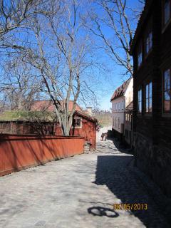 IMG_2510.JPG