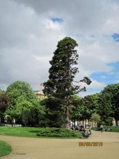 IMG_3175.JPG