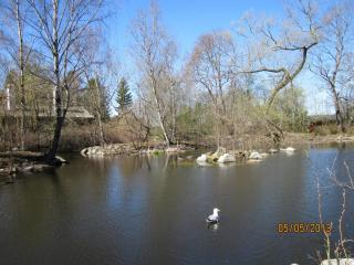 IMG_2492.JPG