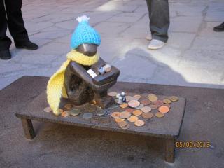 IMG_2312.JPG
