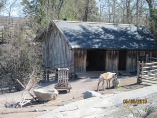 IMG_2444.JPG