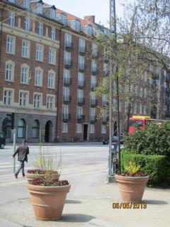 IMG_2812.JPG