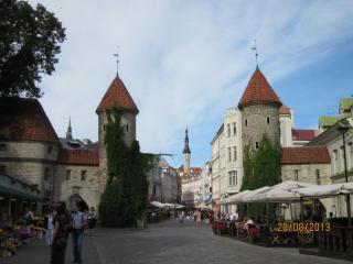 IMG_5036.JPG