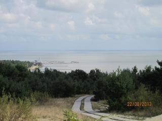 IMG_5560.JPG