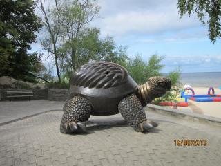IMG_4734.JPG