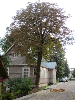 IMG_5968.JPG