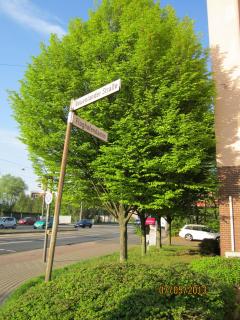 IMG_2884.JPG
