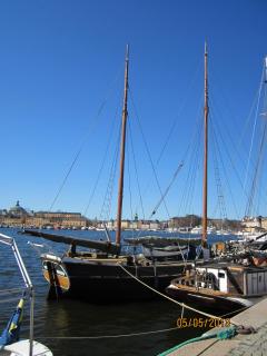 IMG_2411.JPG