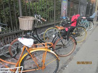 IMG_2628.JPG