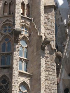 IMG_5065.JPG