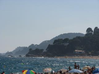 IMG_4966.JPG