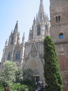 IMG_4947.JPG