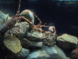 IMG_5198.JPG