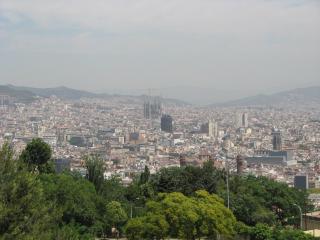 IMG_4936.JPG