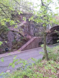 WP_20140423_068.jpg