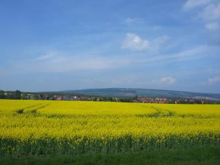 WP_20140423_331.jpg