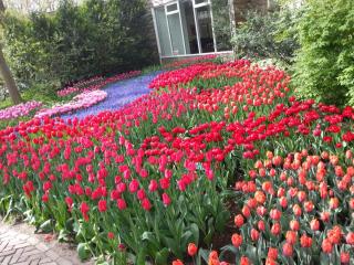 WP_20140415_152.jpg