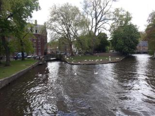 WP_20140418_221.jpg