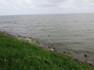 WP_20140415_226.jpg