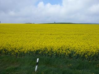 WP_20140422_292.jpg