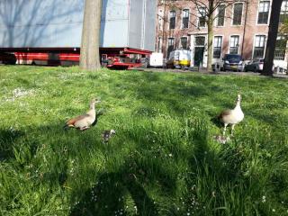 WP_20140416_014.jpg