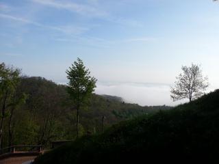 тумWP_20140423_083.jpg