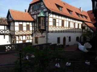 WP_20140423_146.jpg