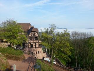 тумWP_20140423_088.jpg